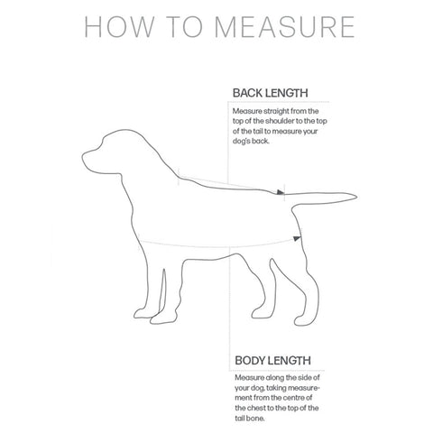 Guide des tailles Manteaux pour chien Hy Equestrian