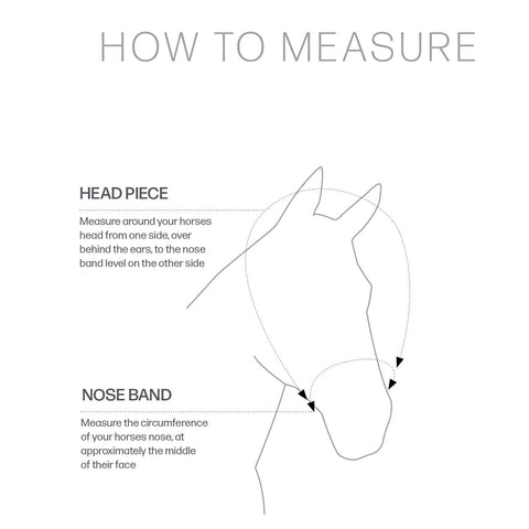 Guide des tailles Bride Hy Equestrian Rosciano avec détails en or rose