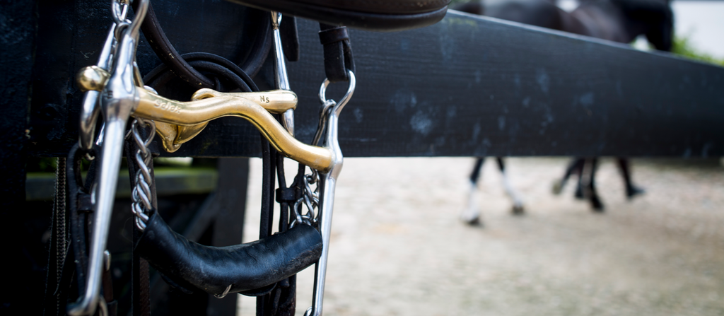 Neue Schule bit and bridle handing from a fence