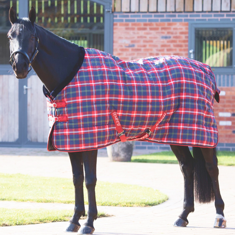 Saxon 1200D PP Stable Blanket (200g Medium)