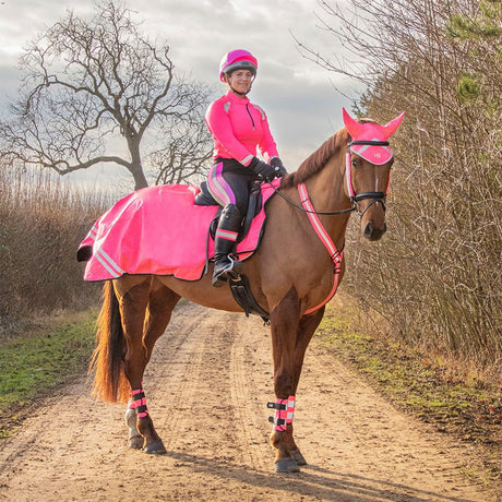 Hy Equestrian - Hy Equestrian OsloPro Softshell Riding Tights