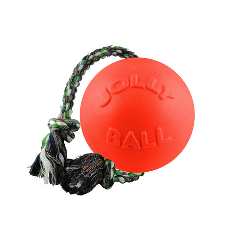 Push-n-Play  Durable Dog Toy - Jolly Pets
