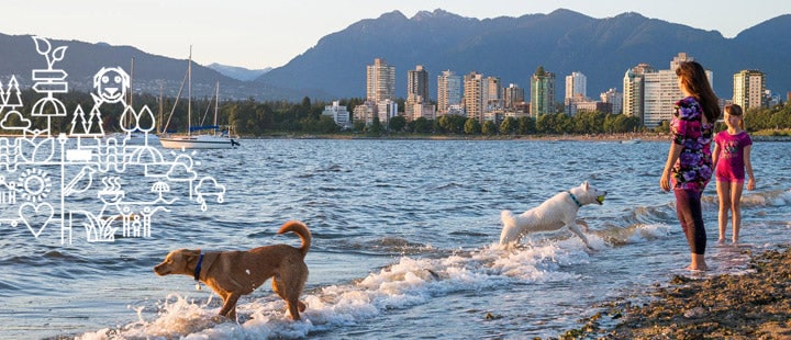 Hadden Park Dog Park | 1905 Ogden Avenue Vancouver