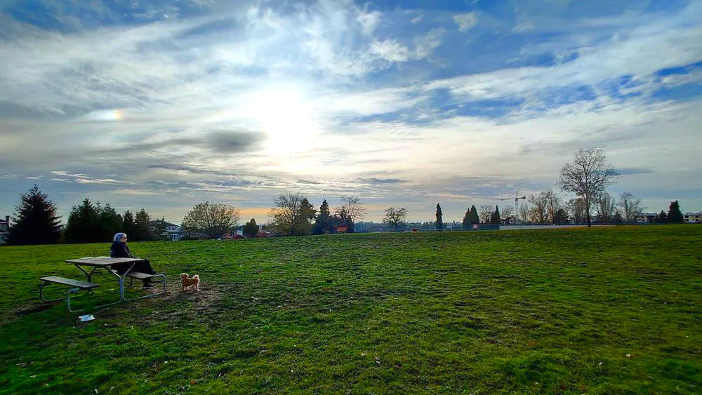 Queen Elizabeth Dog Park