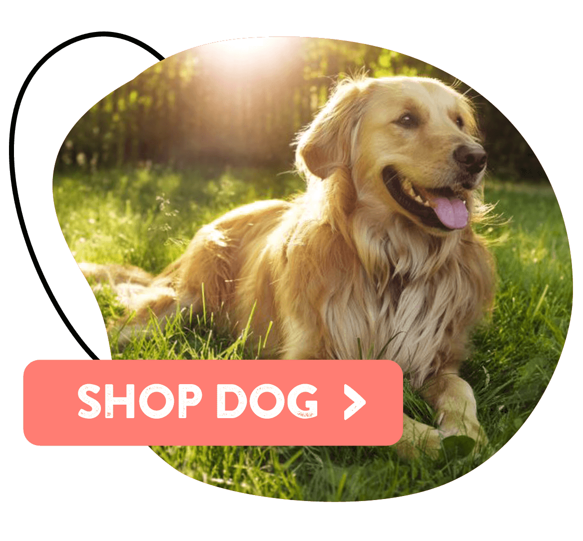 dogs naturally market canada