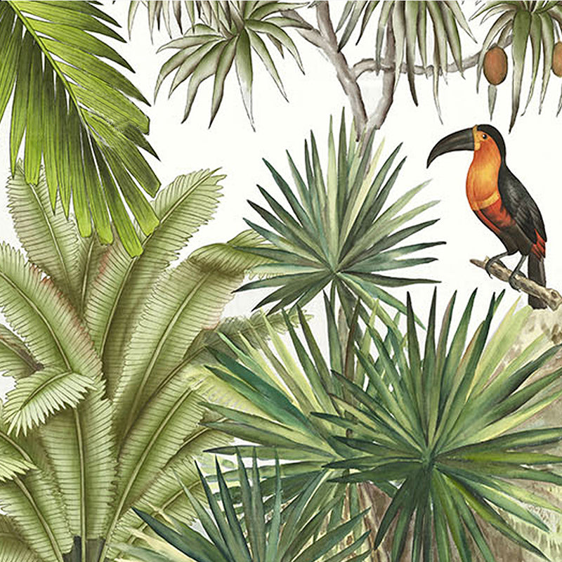 Custom Mural Wallpaper Tropical Rainforest Green Plants | BVM Home