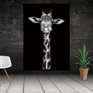 Nordic Black White Animal Canvas Print Wall Decor Bvm Home