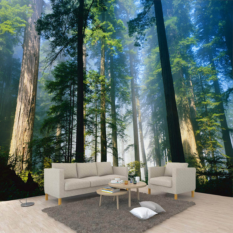 Custom 3D Wall Murals Wallpaper Fog Towering Trees Forest | BVM Home