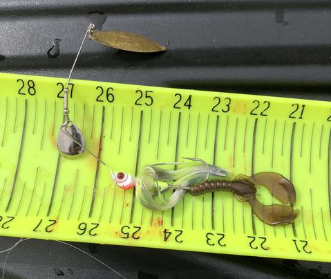 Making a wake bait, match-the-hatch with a minnow wake bait. 