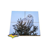 Snowy Owl Coaster Puzzle