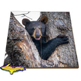 Wildlife Bear Cub-1260 ~ Puzzle Coasters & Gifts