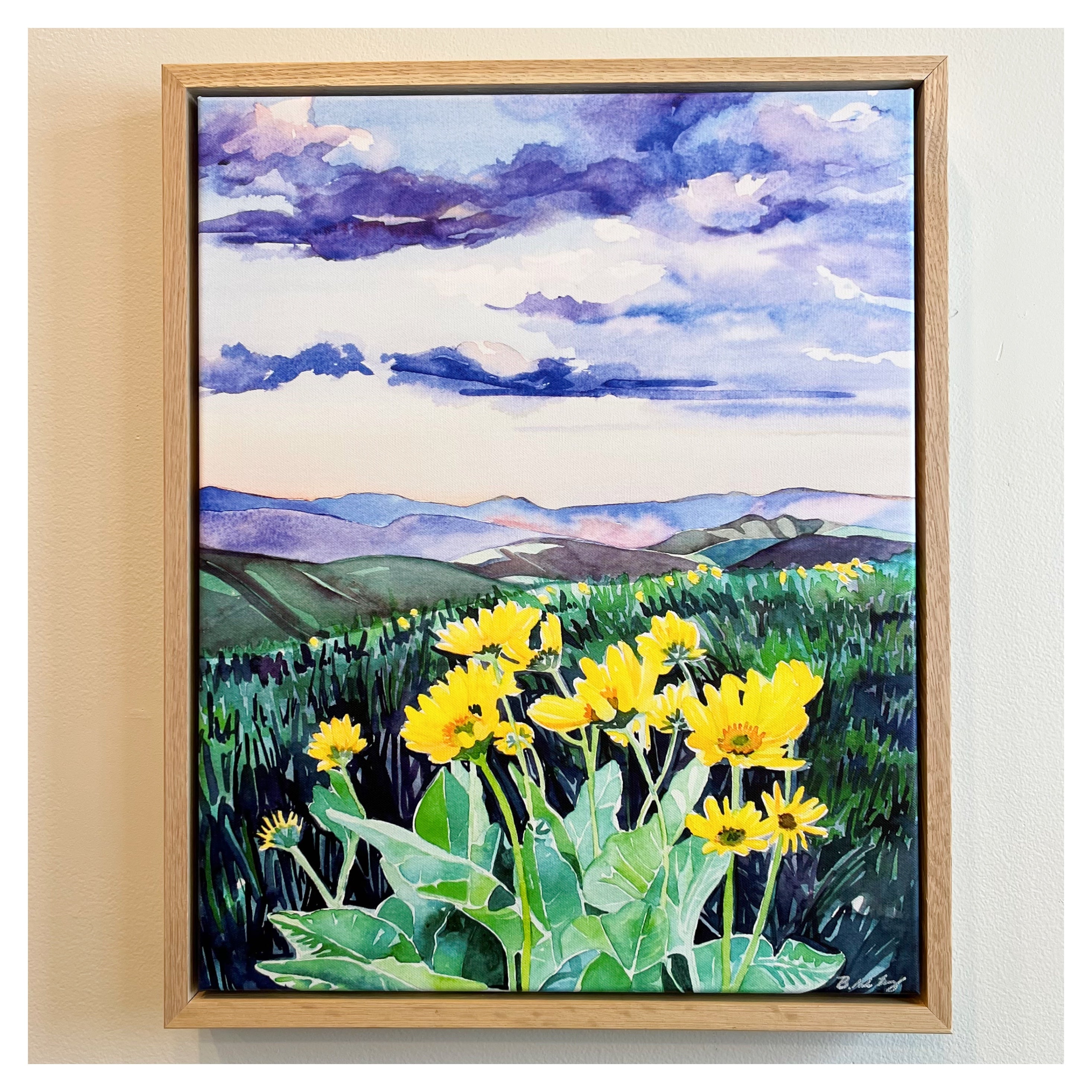 Arrowleaf in the Methow Framed Canvas Print