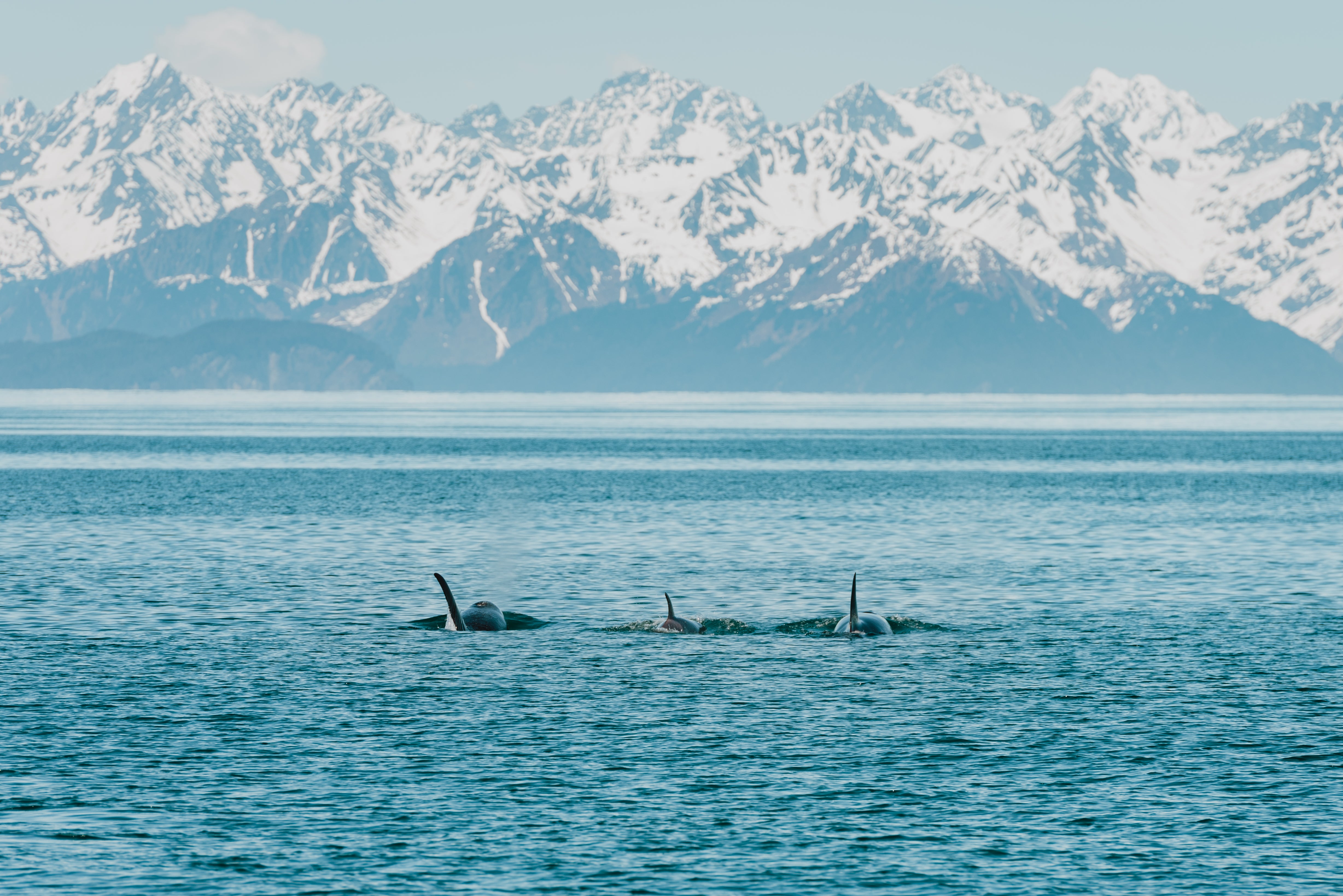 staheekum adventure outdoor slippers kenai fjords national park national parks you must visit in your lifetime