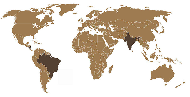 Herkunft Fortezza Espresso Siena Indien Brasilien und Nicaragua