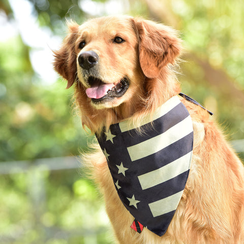 american flag dog bandana