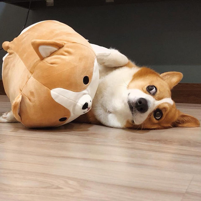 corgi pillow plush