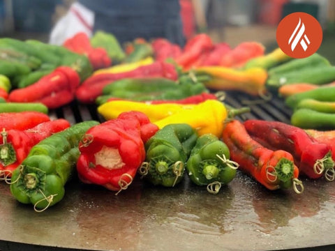 Vegetables on the grill