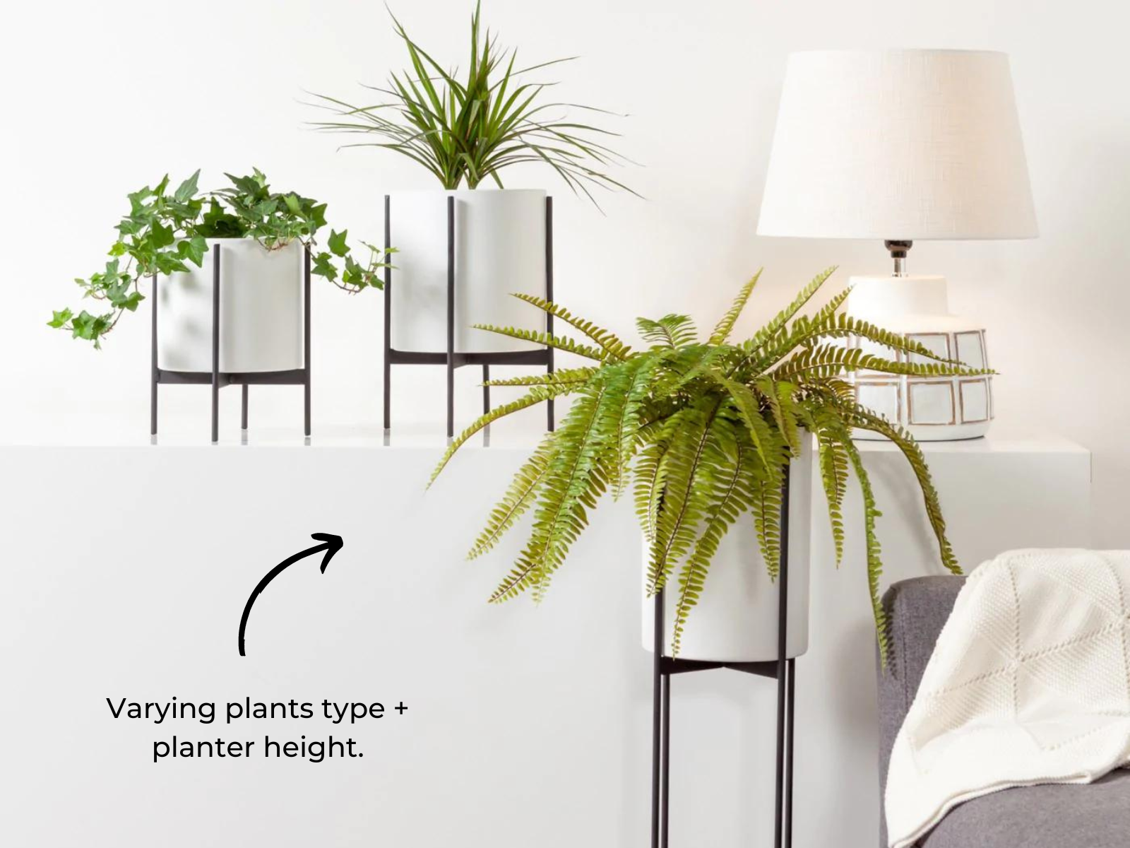 Decorating with Plants: The Guide - Details. | The Blog - Derrick Details