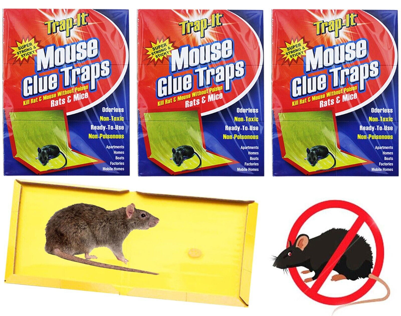 Mouse Glue Traps Humane Rat Mice Rodent Sticky Pad