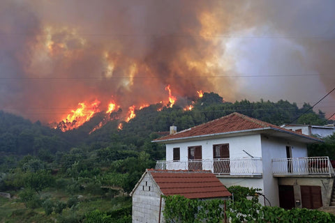 Forest fire on a slope next to a residential area