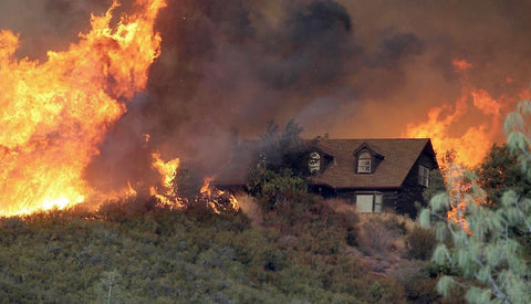 A wooden house affected by a forest fire