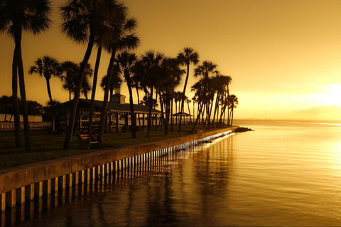 seawall for flood protection