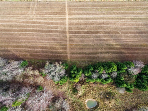 dry field showing effects of a drought