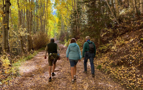 Three friends walking in the woods as a good habit