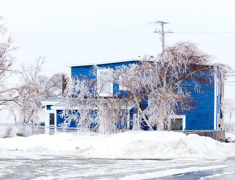 A blue house and trees covered with ice