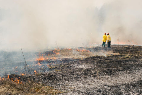 Two workers outdoors in post-wildfire smoky conditions