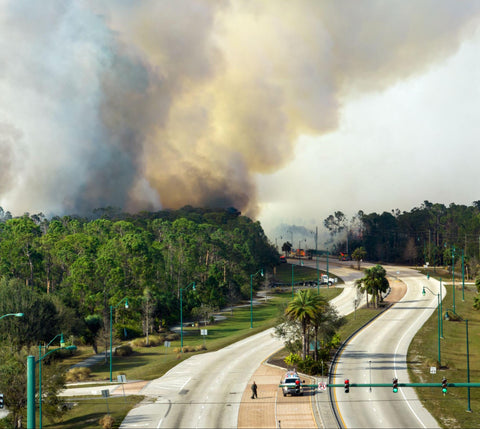 wildfire smoke in the distance