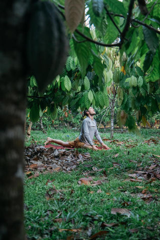 Yoga In Cacao Forest