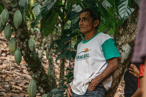 Q'eqchi' Maya Cacao Farmer Guatemala Ceremonial Cacao