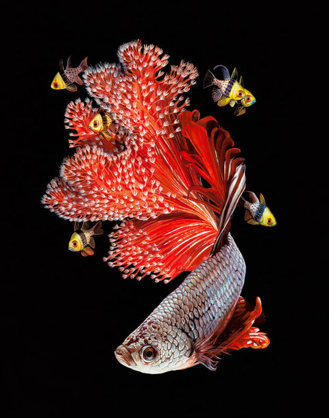 Lisa Ericson – Antler Gallery