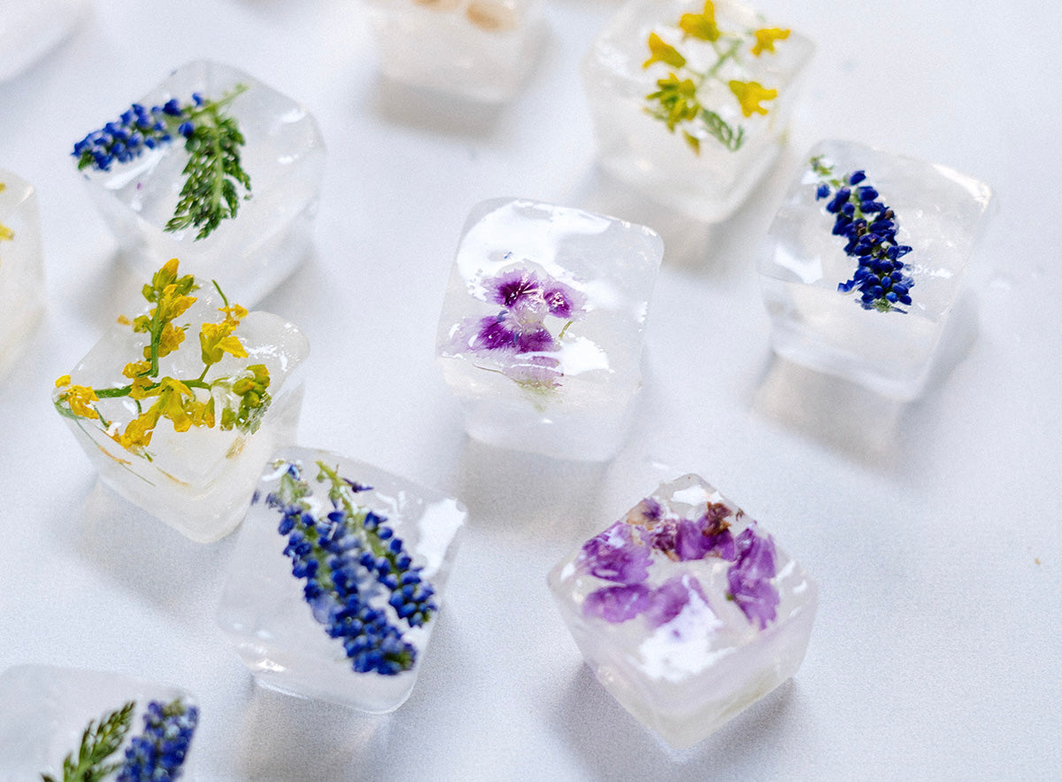 ice cubes with flowers frozen inside