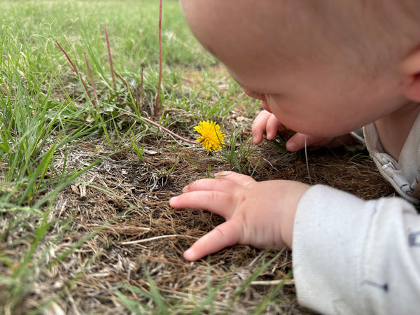 Messy Play Baby explores a flower on a road trip.