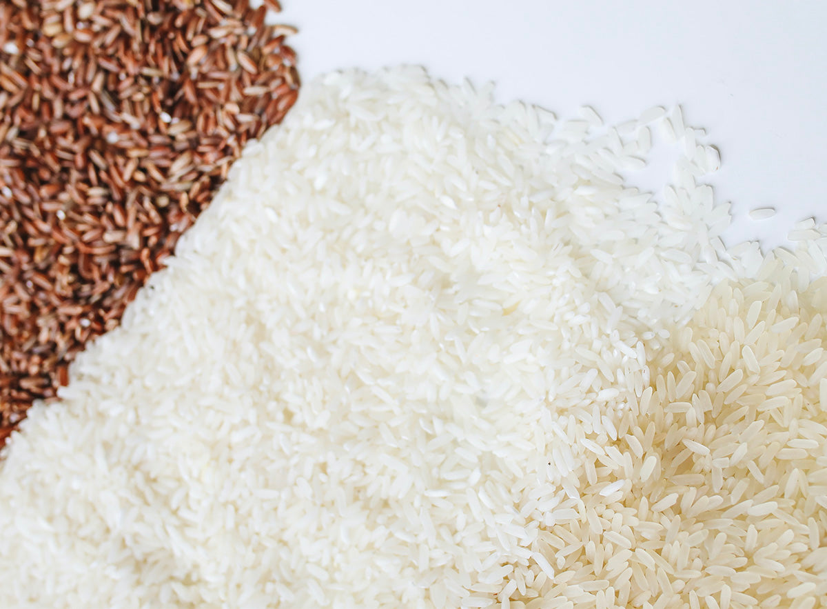 Different kinds of rice make great safe sensory bin materials