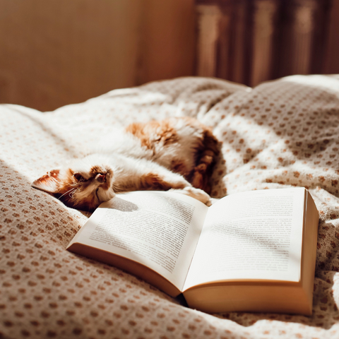 ORA Bedtime Rituals Blog by Kate Shanks_Reading with Cat