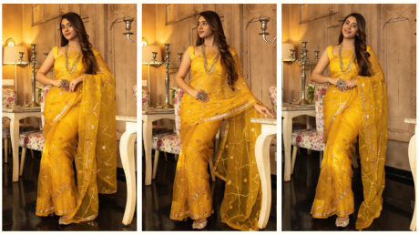 GUJAARI GOTAPATTI ORGANZA SAREE