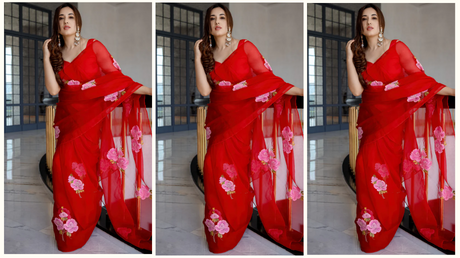 HANDPAINTED ORGANZA SILK SAREE