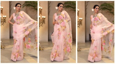 PEACH AURA EMBELLISHED HANDPAINTED ORGANZA SILK SAREE