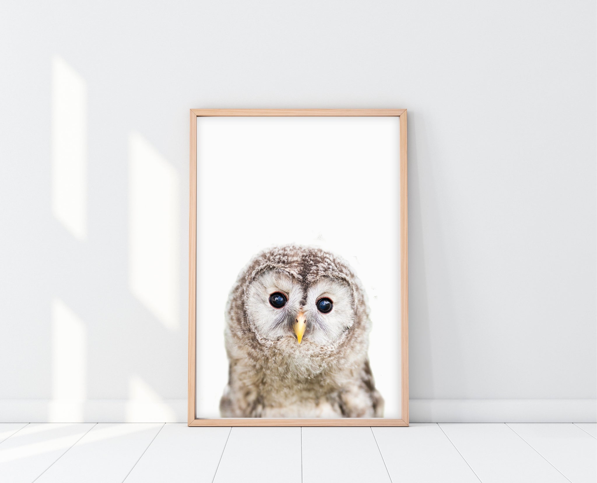 owl nursery decor