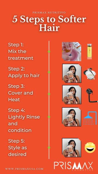 Prismax Step-by-Step Application Infographic