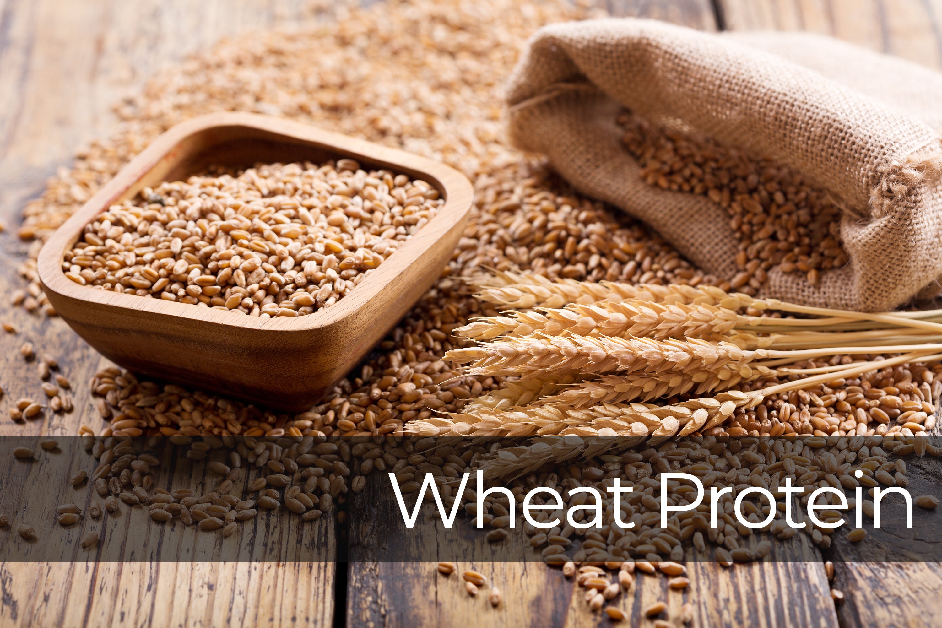 Prismax Ingredient: Wheat Protein