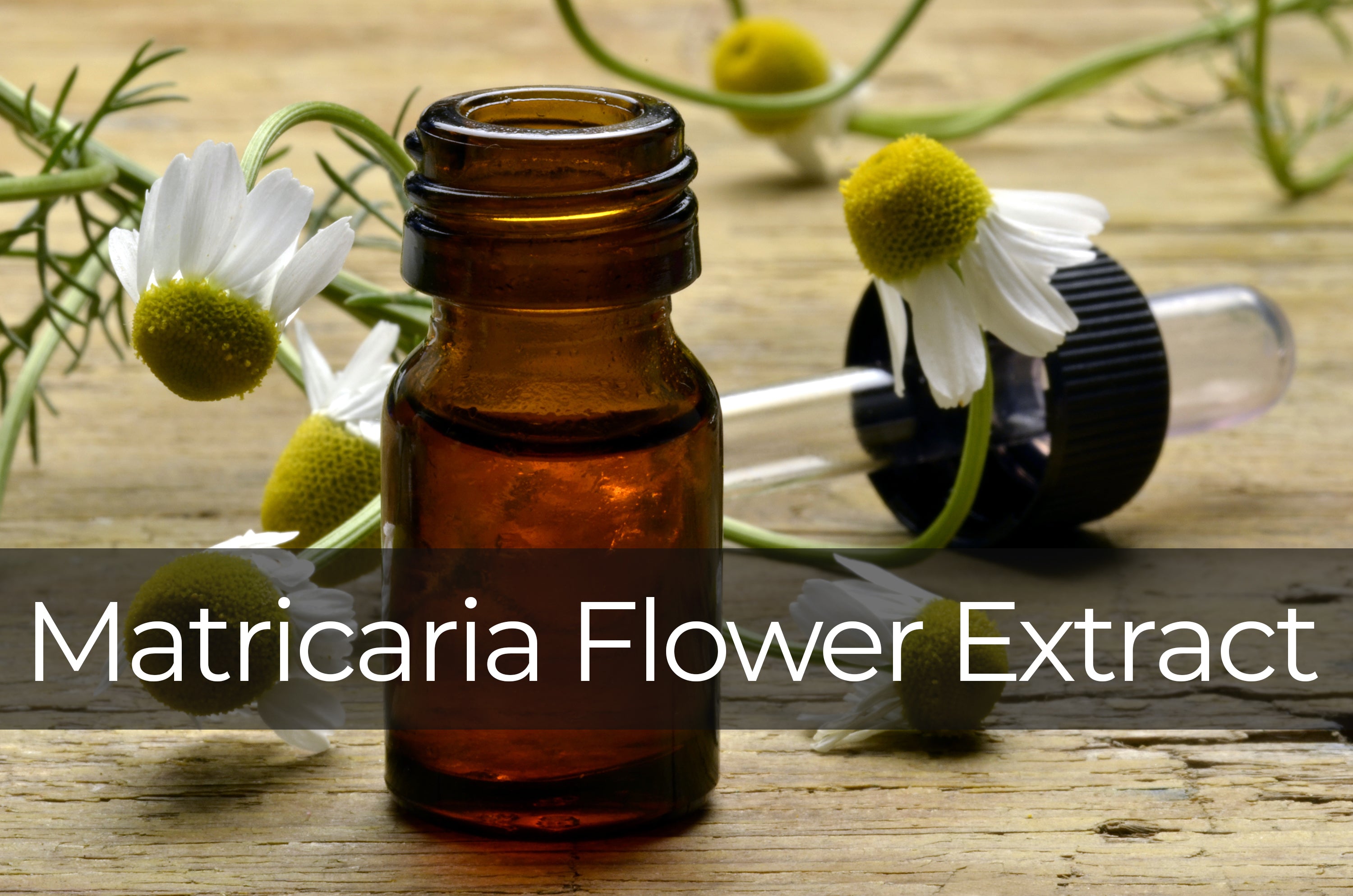 Prismax Ingredient - Matricaria Flower Extract