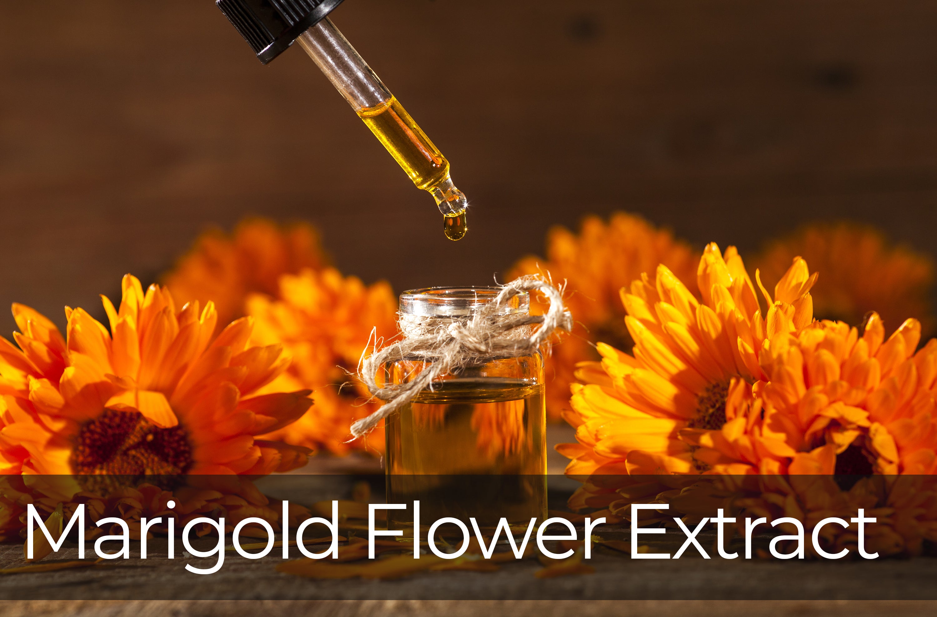Prismax Ingredient - Marigold Flower Extract