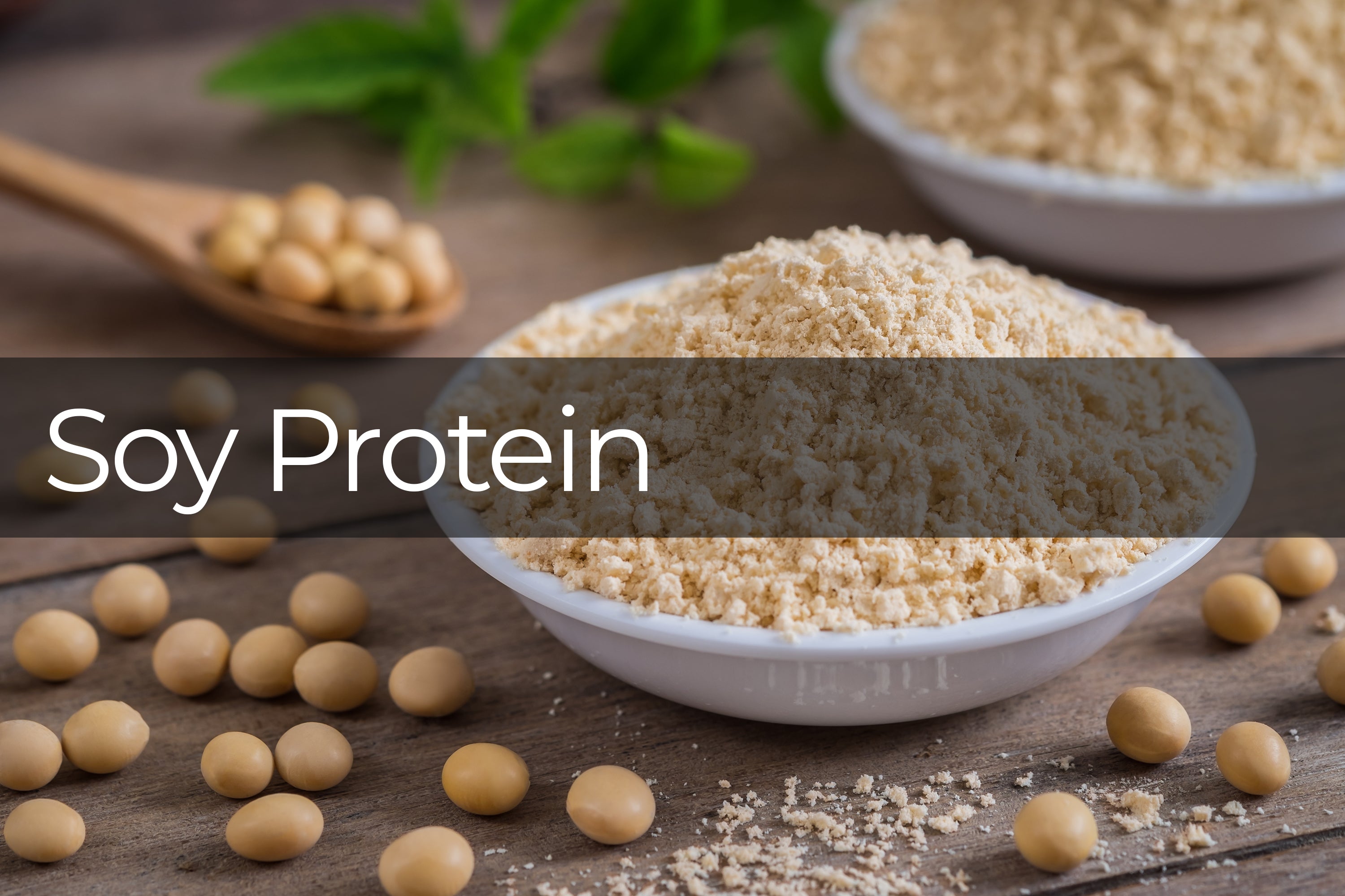 Prismax Ingredient Soy Protein