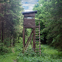 Hunting watchtower