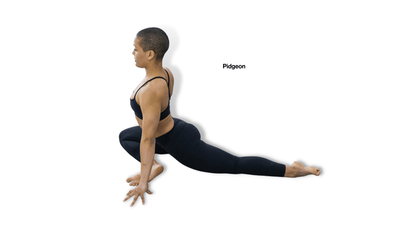 Pidgeon Yoga Pose
