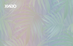 Palm leaf background